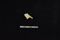 藏品(陶甑)的圖片